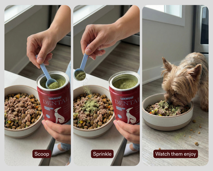 Dog Dental Powder