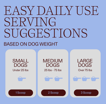 Dog Dental Powder